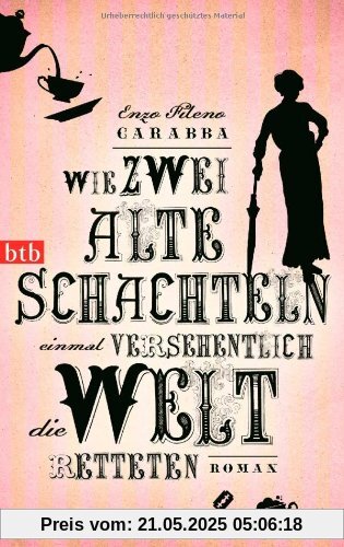 Wie zwei alte Schachteln einmal versehentlich die Welt retteten: Roman