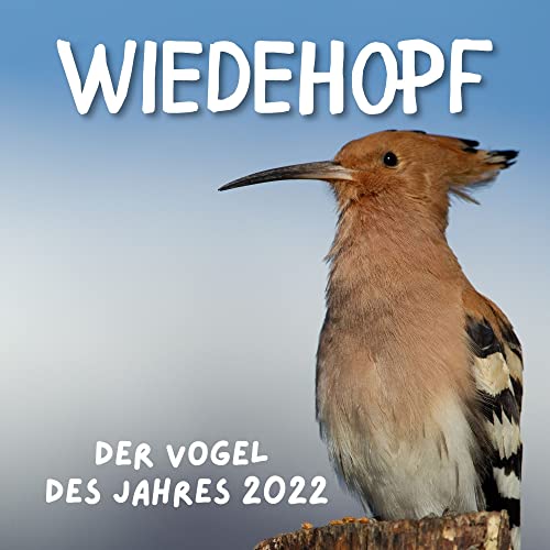 Wiedehopf: Der Vogel des Jahres 2022 von 27 Amigos
