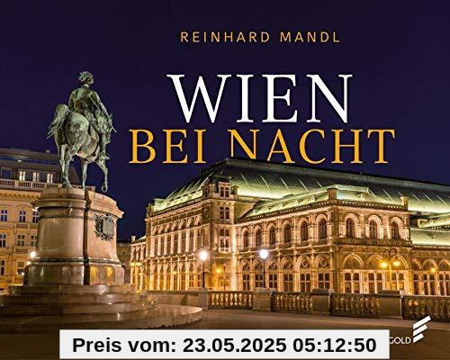 Wien bei Nacht
