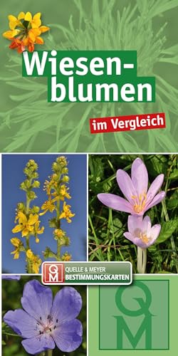 Wiesenblumen: im Vergleich (Quelle & Meyer Bestimmungskarten)