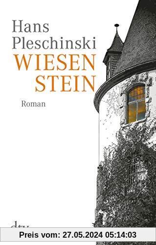 Wiesenstein: Roman