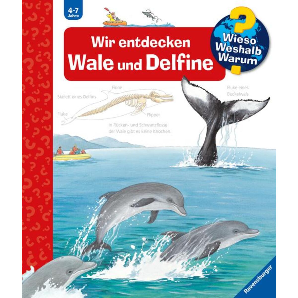 Wieso? Weshalb? Warum?, Band 41: Wir entdecken Wale und Delfine von Ravensburger Verlag
