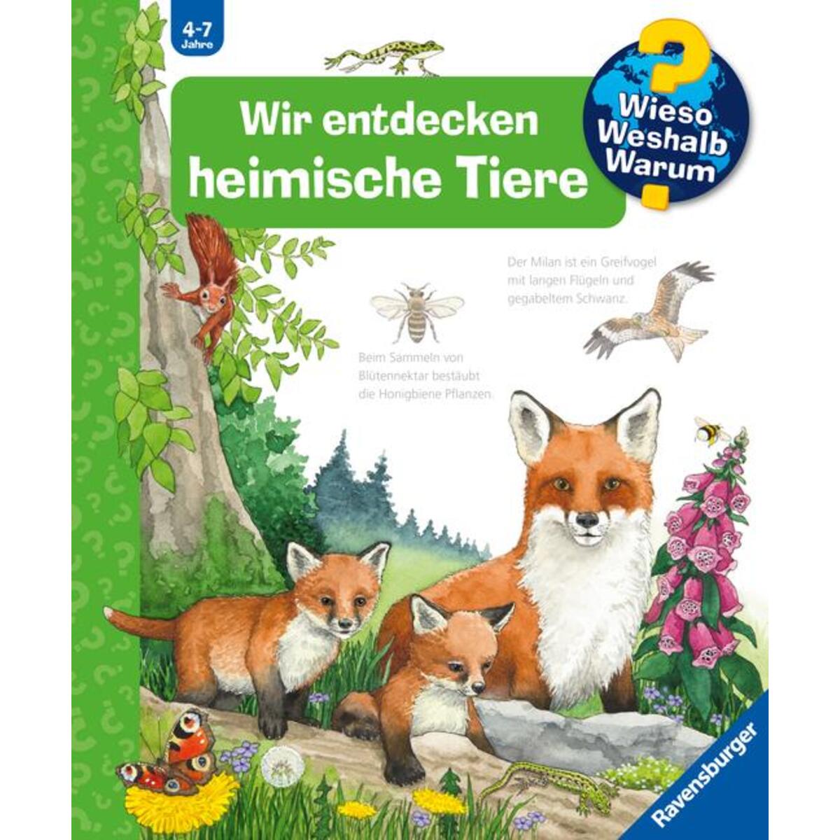 Wieso? Weshalb? Warum?, Band 71: Wir entdecken heimische Tiere von Ravensburger Verlag