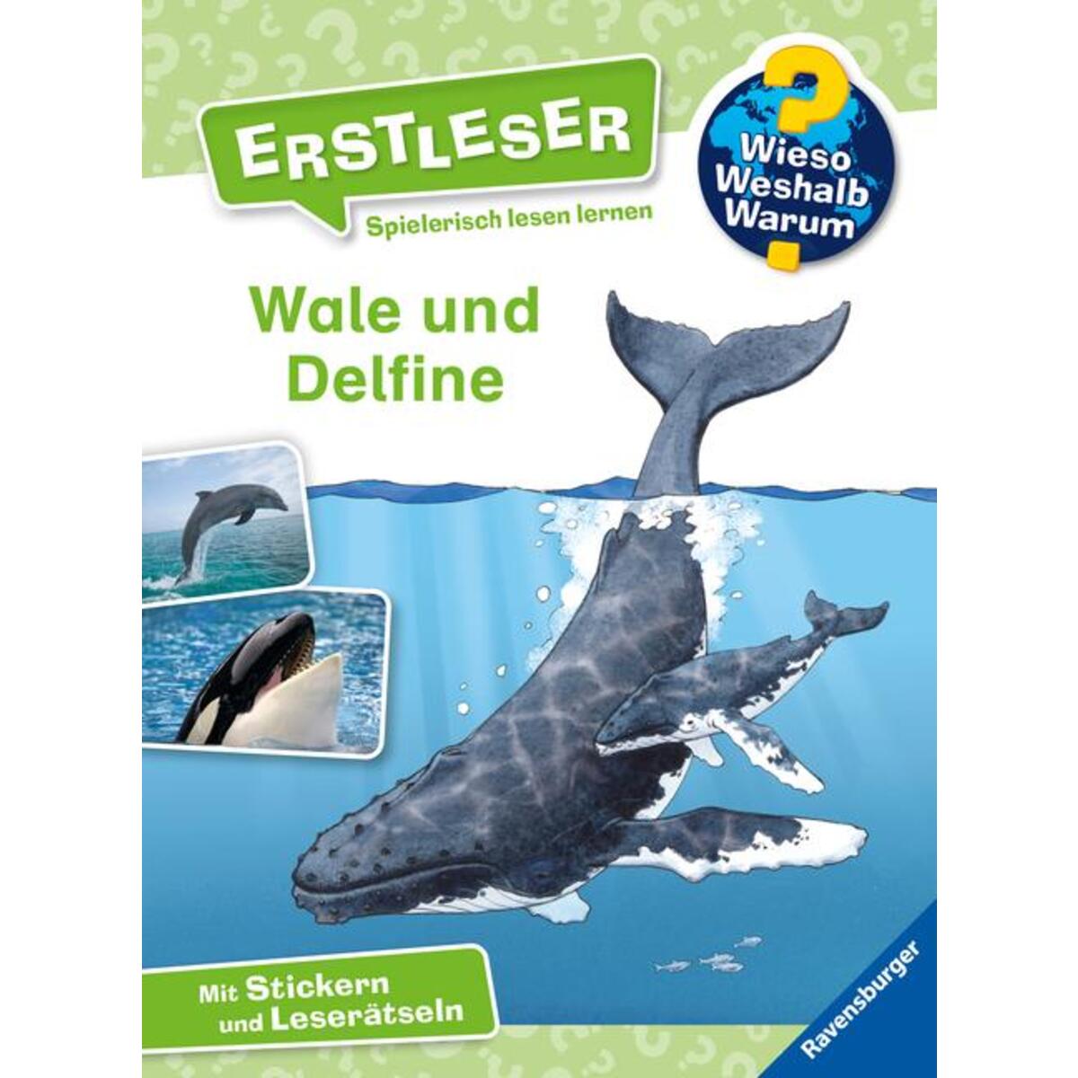 Wieso? Weshalb? Warum? Erstleser: Wale und Delfine (Band 3) von Ravensburger Verlag