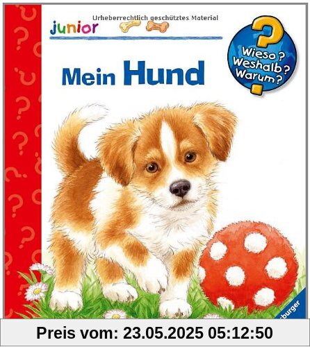 Wieso? Weshalb? Warum? - junior 41: Mein Hund