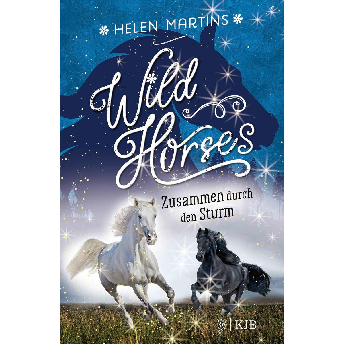 Wild Horses - Zusammen durch den Sturm Wild Horses - Zusammen durch den Sturm von FISCHER Sauerländer