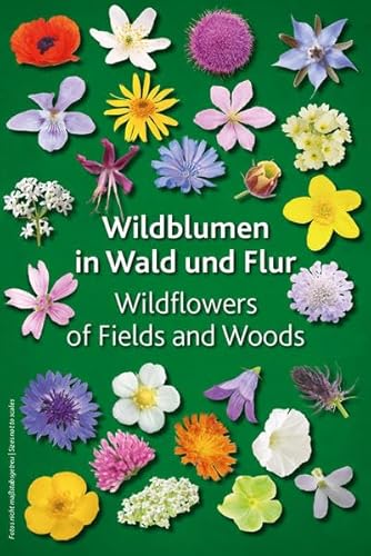 Wildblumen in Wald und Flur: Wildflowers of Fields and Woods von Keller-Krische