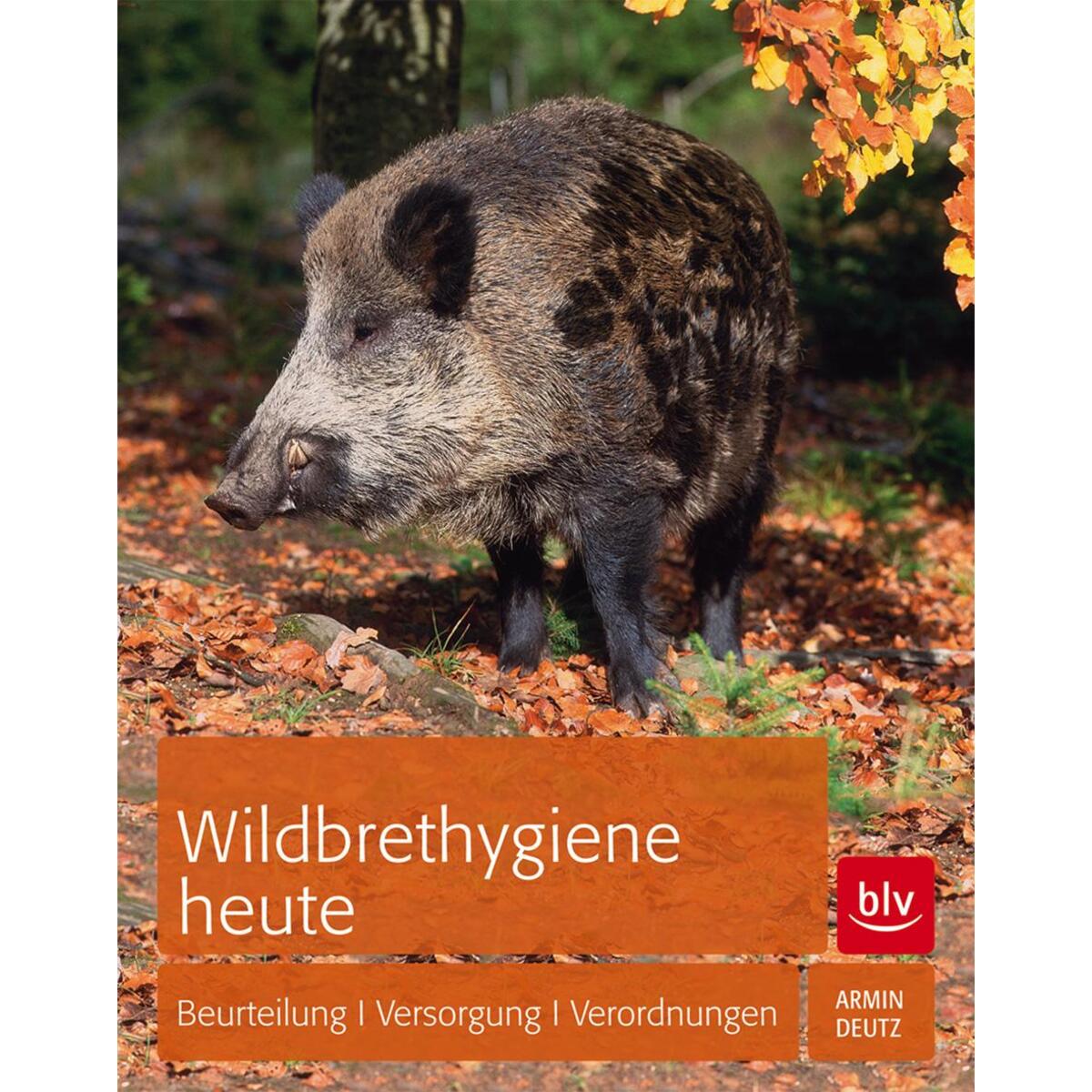 Wildbrethygiene heute von Blv