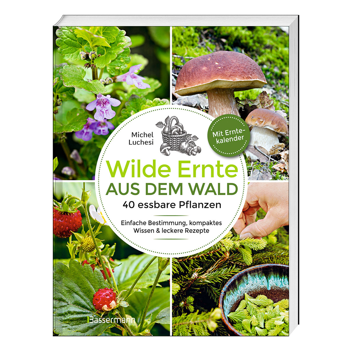 Wilde Ernte aus dem Wald Wilde Ernte aus dem Wald von Bassermann, Edition