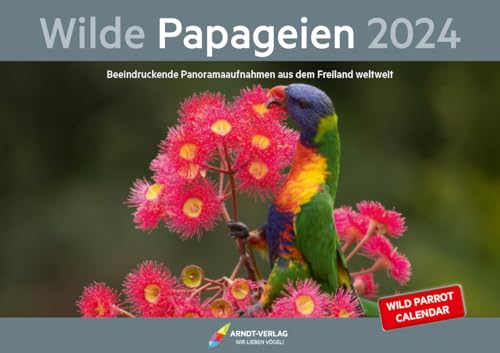 Wilde Papageien 2024: Beeindruckende Panoramaaufnahmen aus dem Freiland weltweit (Kalender Wilde Papageien) von Arndt-Verlag e.K.