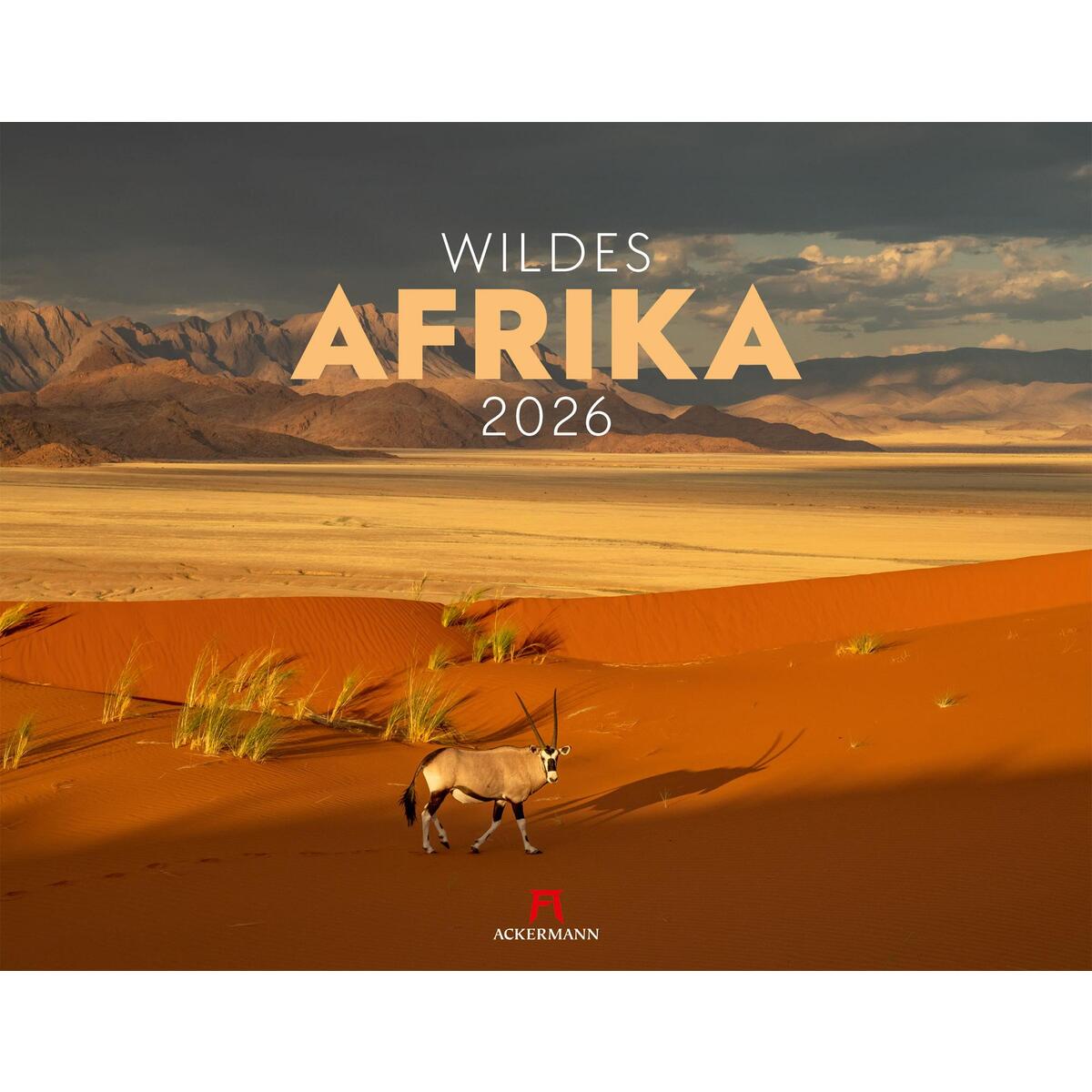 Wildes Afrika Kalender 2026 Wildes Afrika Kalender 2026 von Ackermann Kunstverlag