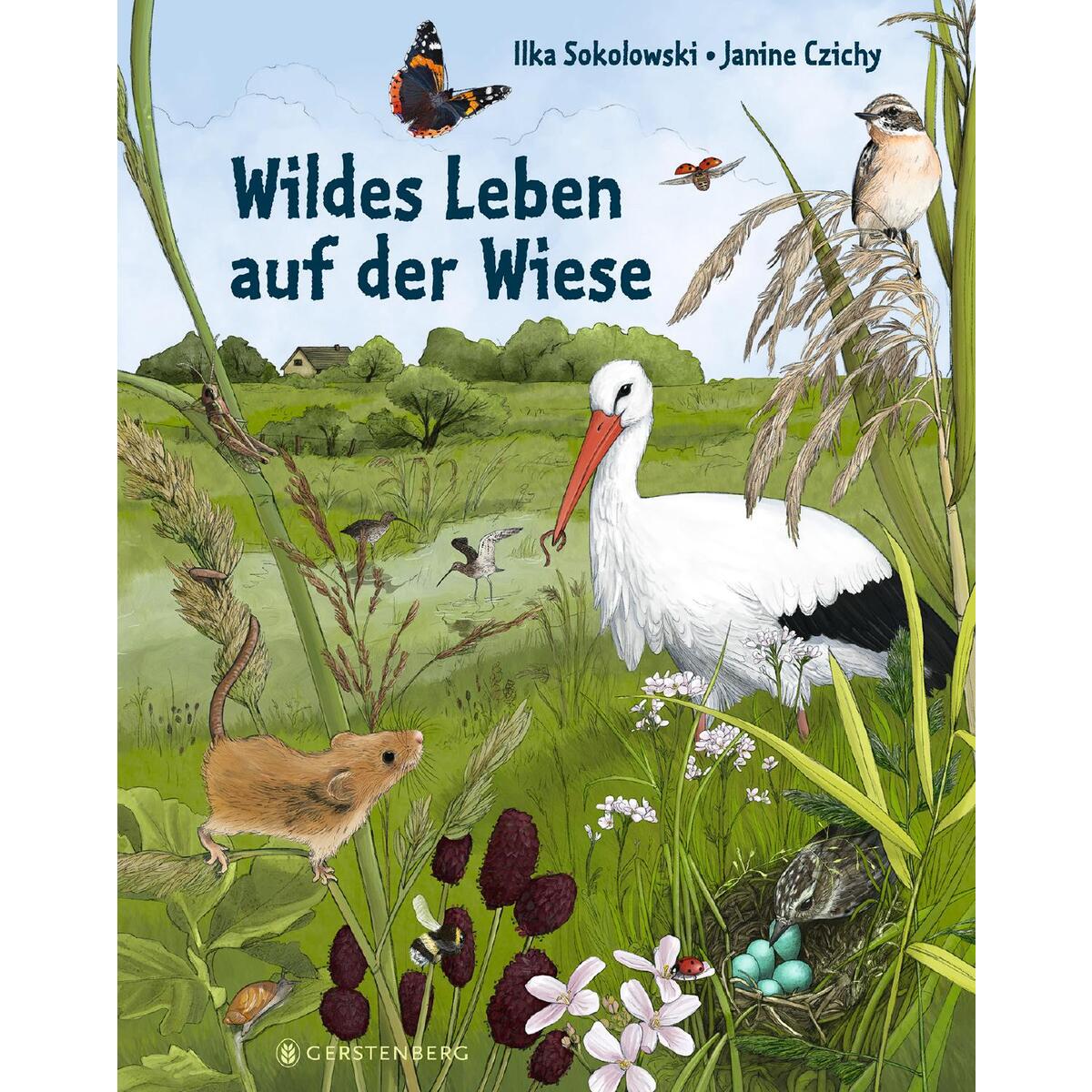 Wildes Leben auf der Wiese von Gerstenberg Verlag