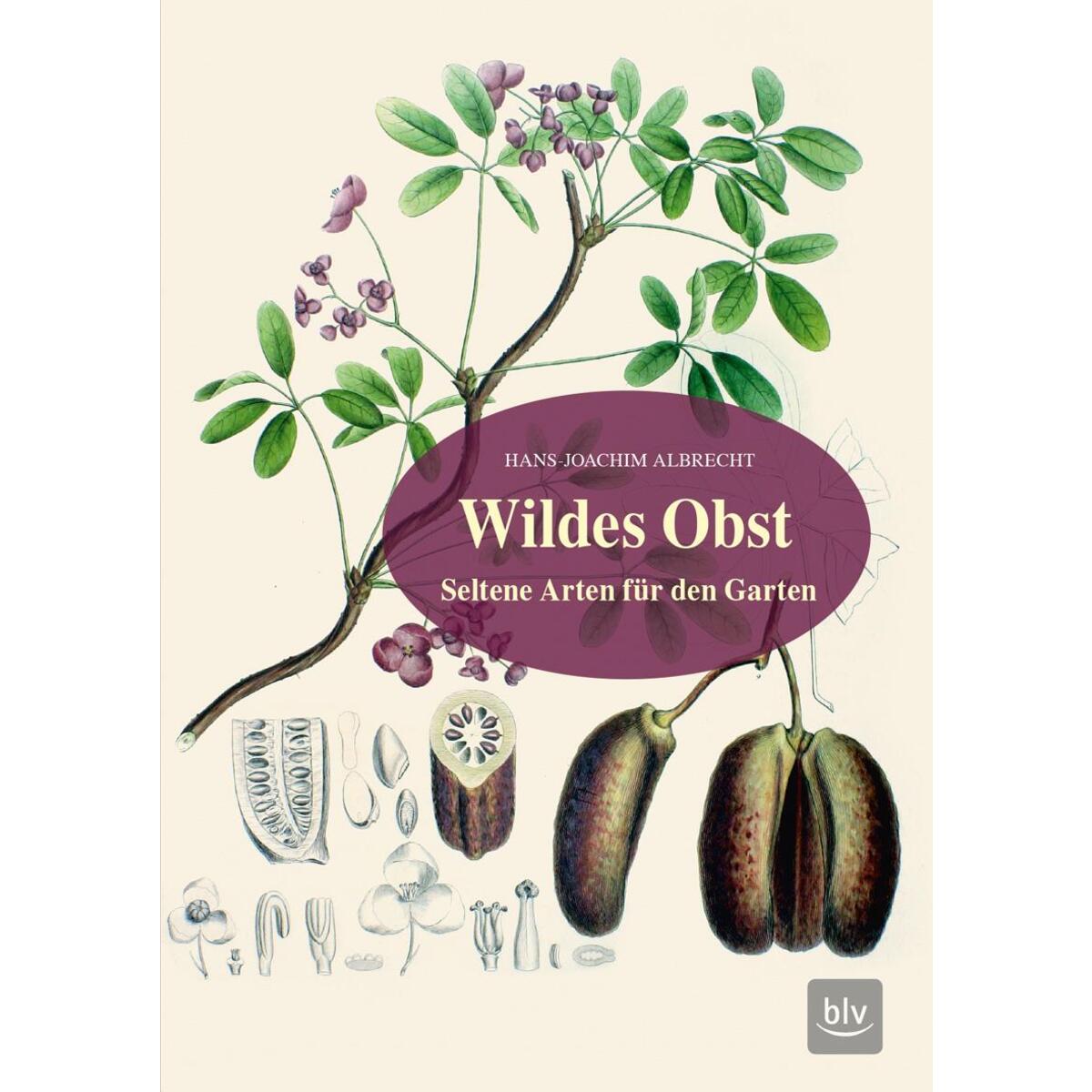 Wildes Obst von Blv