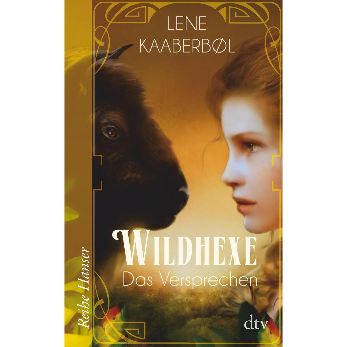 Wildhexe 06 von dtv Verlagsgesellschaft