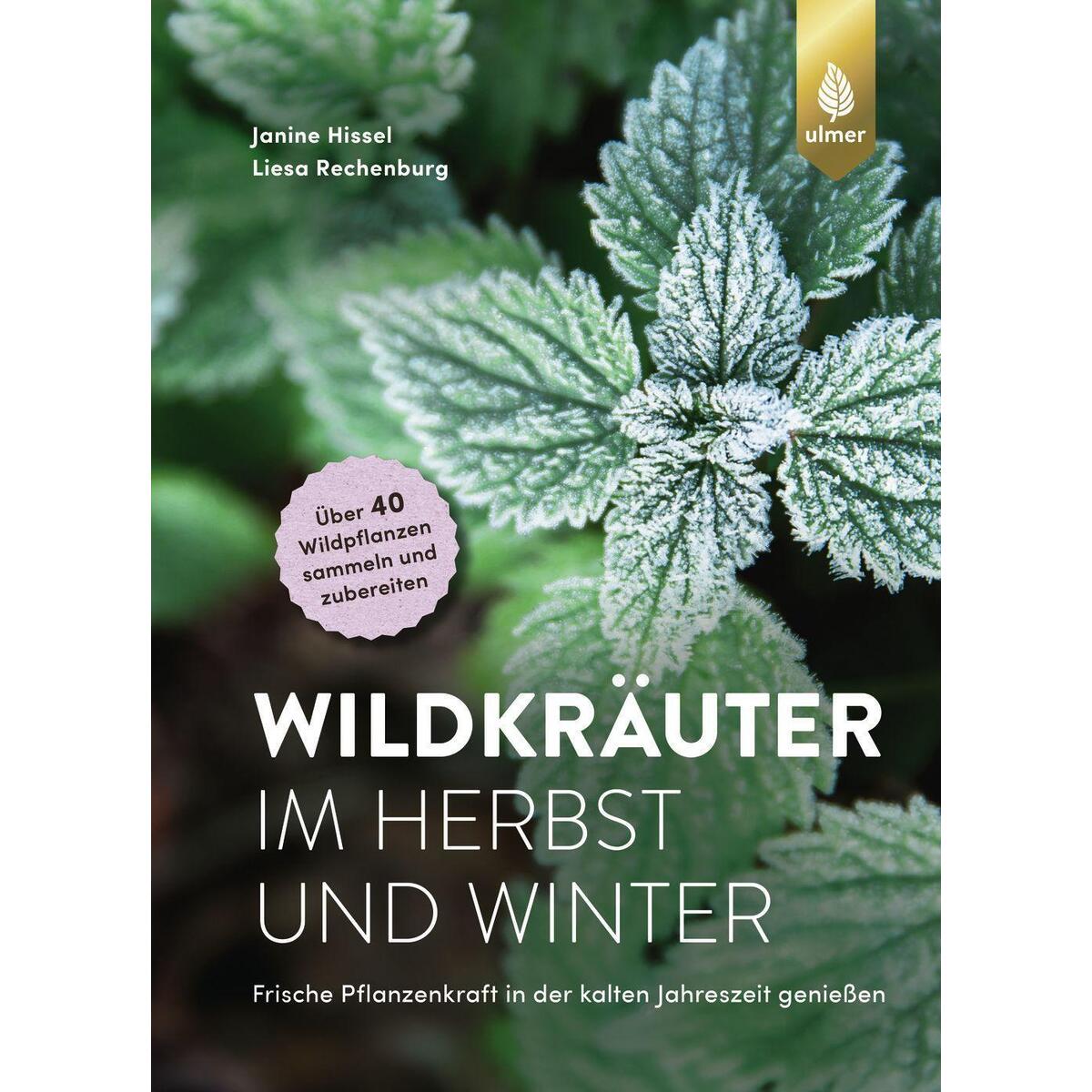 Wildkräuter im Herbst und Winter von Ulmer Eugen Verlag
