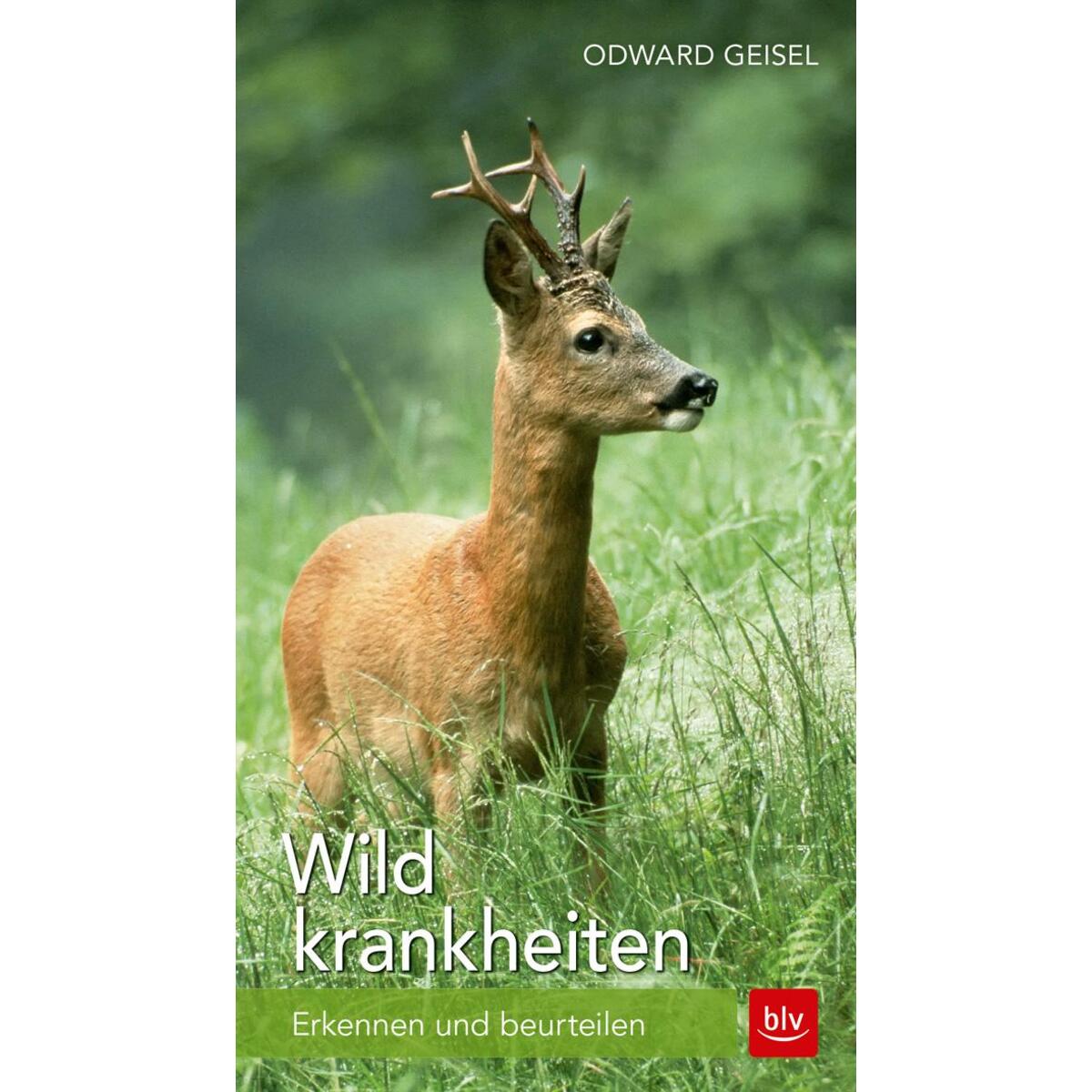Wildkrankheiten von Blv