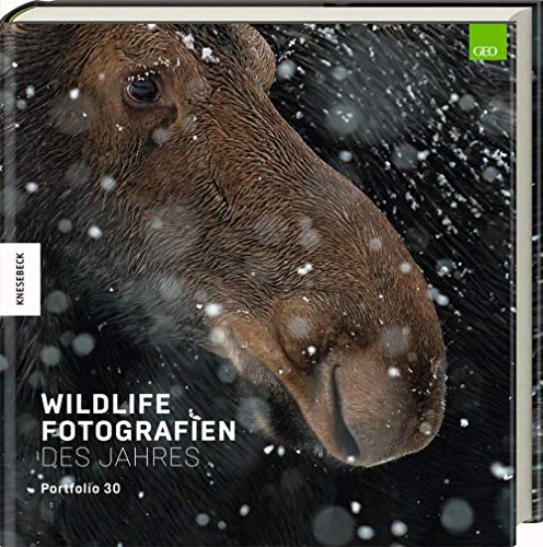 Wildlife Fotografien des Jahres – Portfolio 30 von Knesebeck Von Dem GmbH