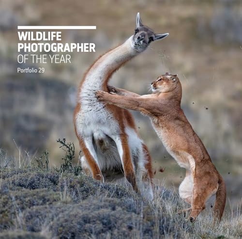 Wildlife Photographer of the Year: Portfolio 29