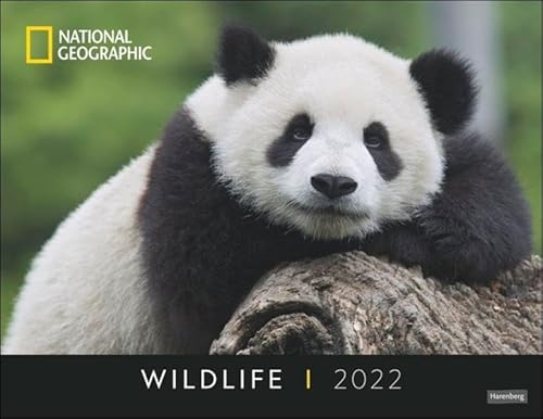 Wildlife Posterkalender National Geographic