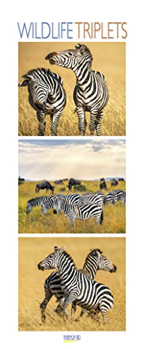 Wildlife Triplets 2020: Schmaler Wandkalender. Foto-Kunstkalender von Tieren in der Natur und im Meer. PhotoArt Vertikal. 28,5 x 69 cm. Edles Foliendeckblatt.