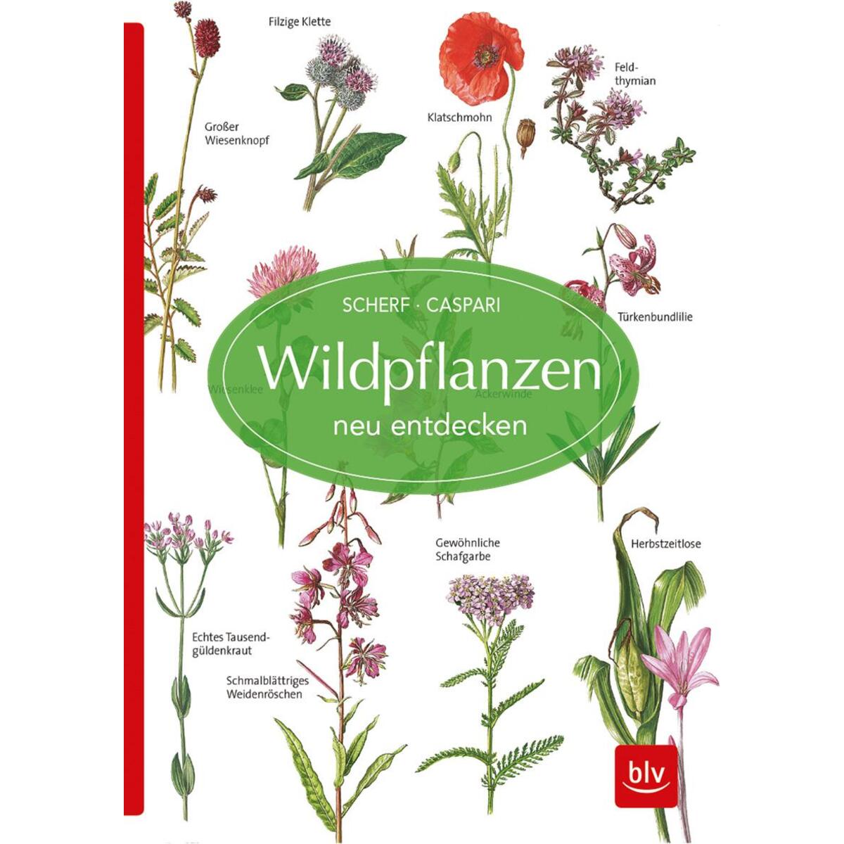 Wildpflanzen neu entdecken von BLV Buchverlag