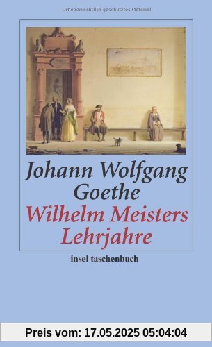 Wilhelm Meisters Lehrjahre: Ein Roman (insel taschenbuch)