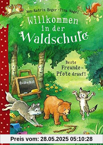 Willkommen in der Waldschule - Beste Freunde - Pfote drauf!: zum Vorlesen ab 5 Jahre Willkommen in der Waldschule - Beste Freunde - Pfote drauf!: zum Vorlesen ab 5 Jahre