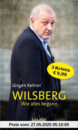 Wilsberg - Wie alles begann