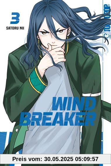 Wind Breaker 03