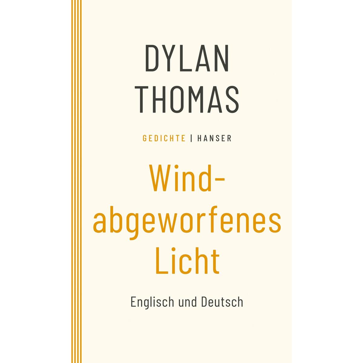 Windabgeworfenes Licht von Carl Hanser Verlag
