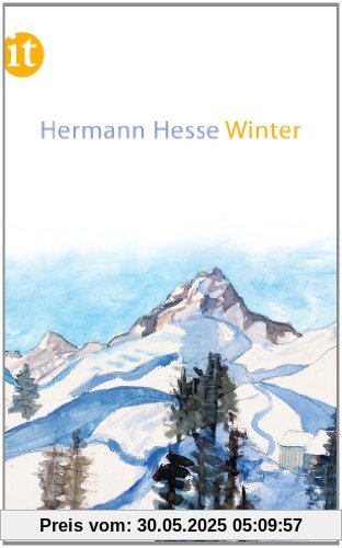 Winter (insel taschenbuch)