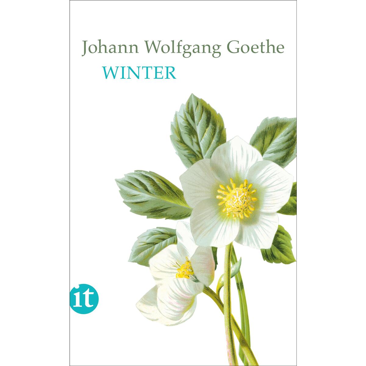 Winter von Insel Verlag