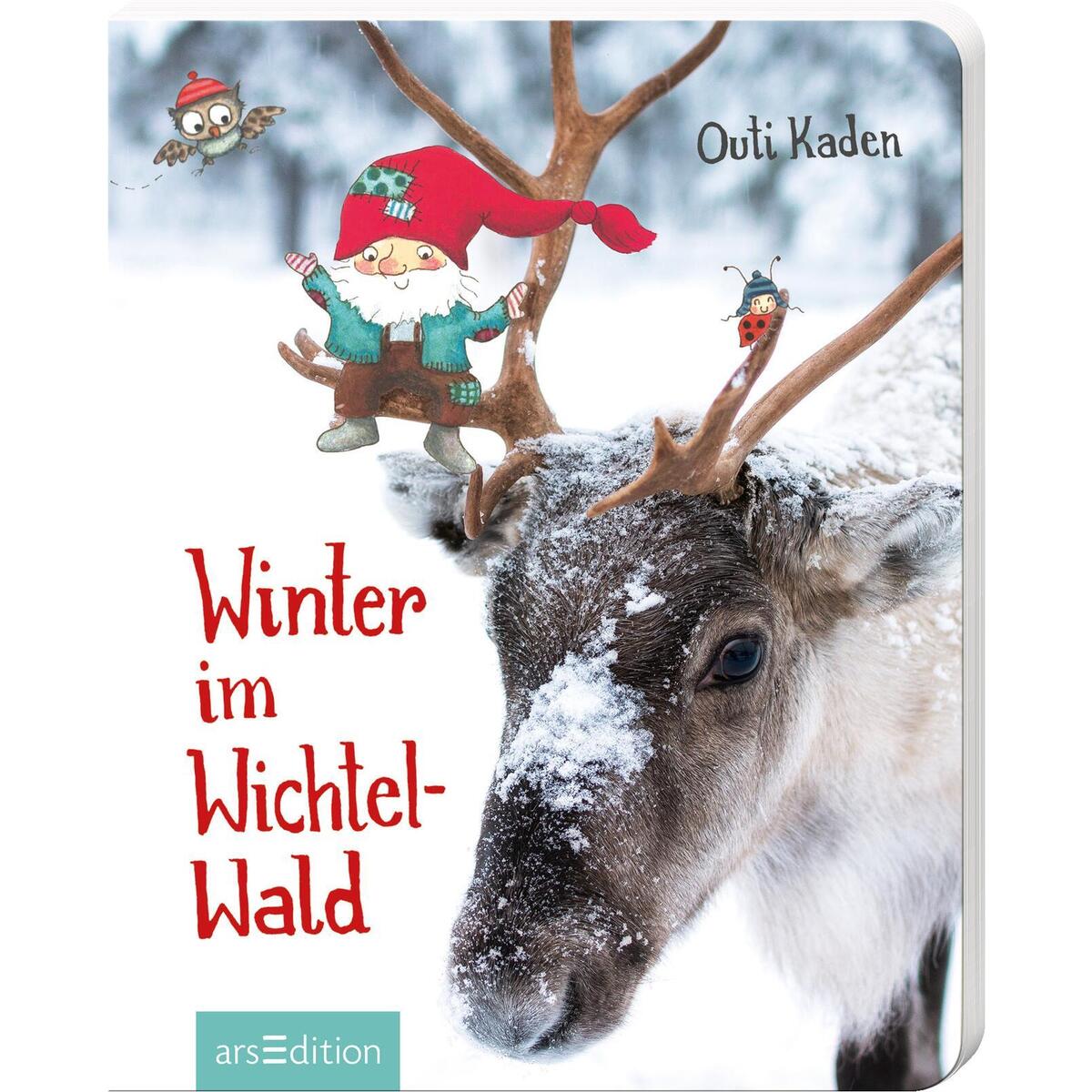 Winter im Wichtelwald von Ars Edition GmbH