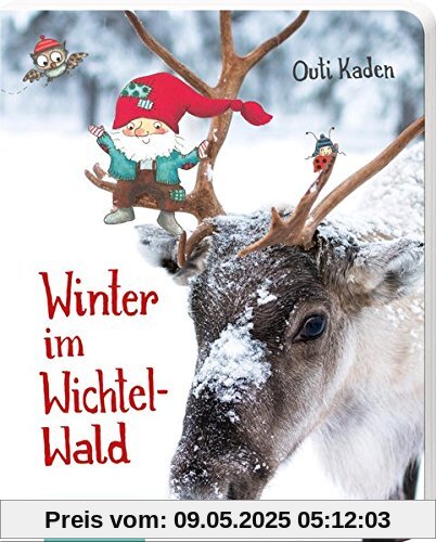Winter im Wichtelwald