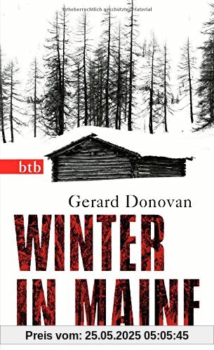 Winter in Maine: Roman (Das Besondere Taschenbuch)