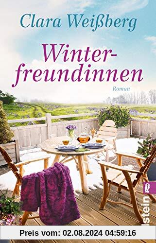 Winterfreundinnen: Roman