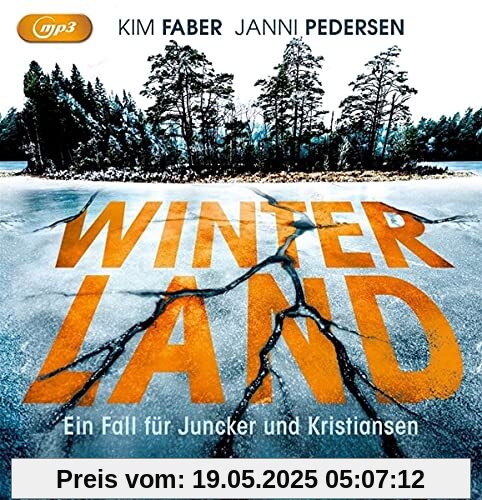 Winterland: Ein Fall für Juncker und Kristiansen (Juncker & Kristiansen, Band 1)