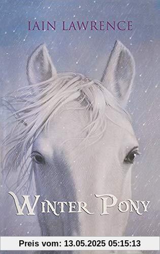 Winterpony