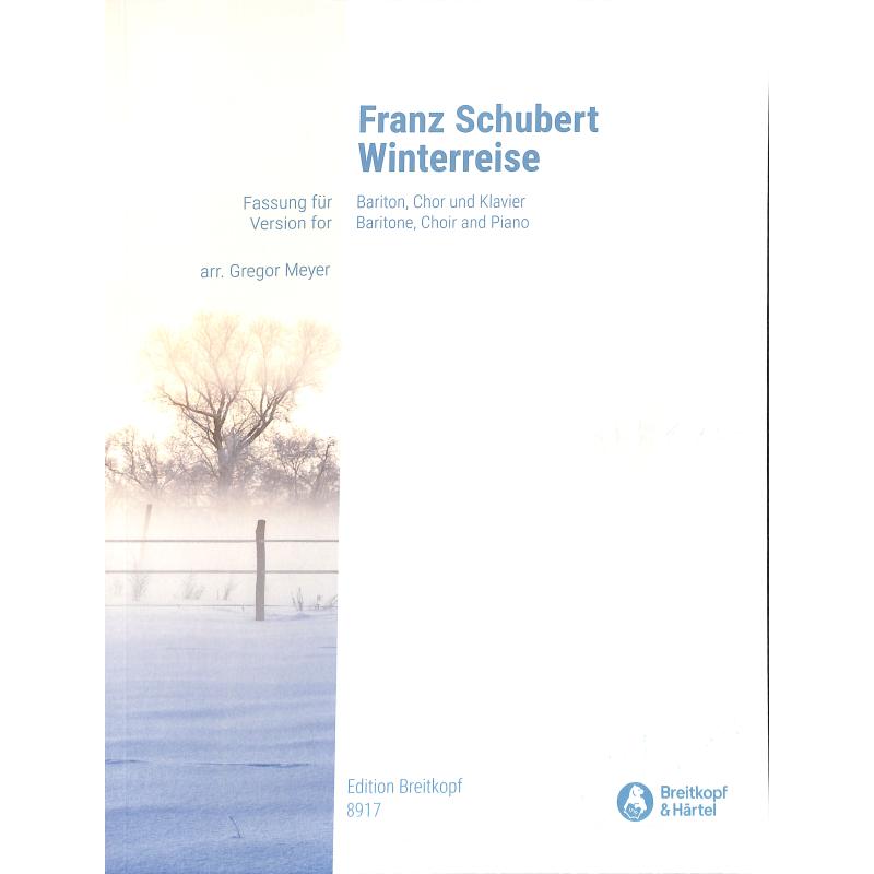 Winterreise op 89 D 911