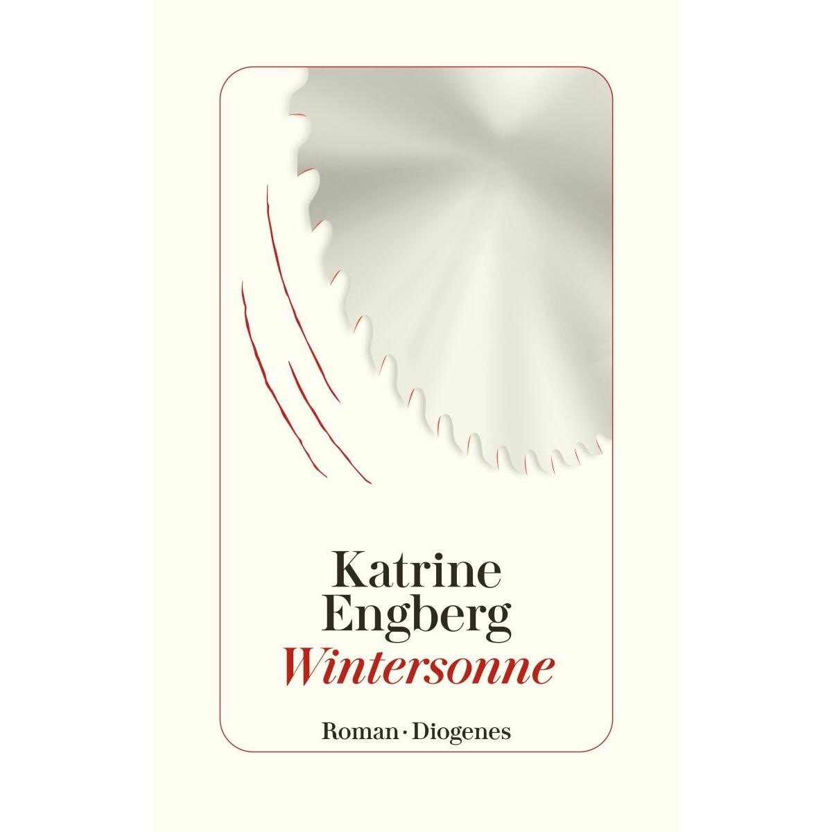 Wintersonne von Diogenes Verlag AG