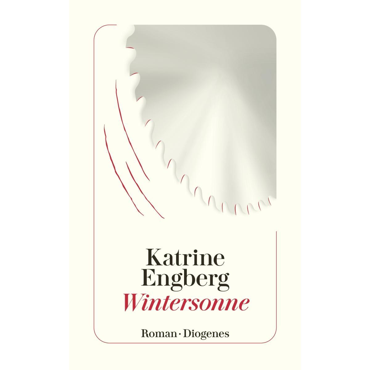 Wintersonne von Diogenes Verlag AG