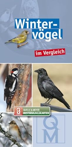 Wintervögel im Vergleich (Quelle & Meyer Bestimmungskarten)