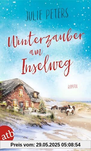 Winterzauber am Inselweg: Roman (Friekes Buchladen, Band 5)
