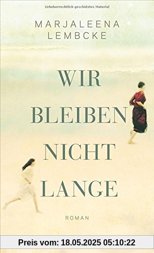 Wir bleiben nicht lange: Roman
