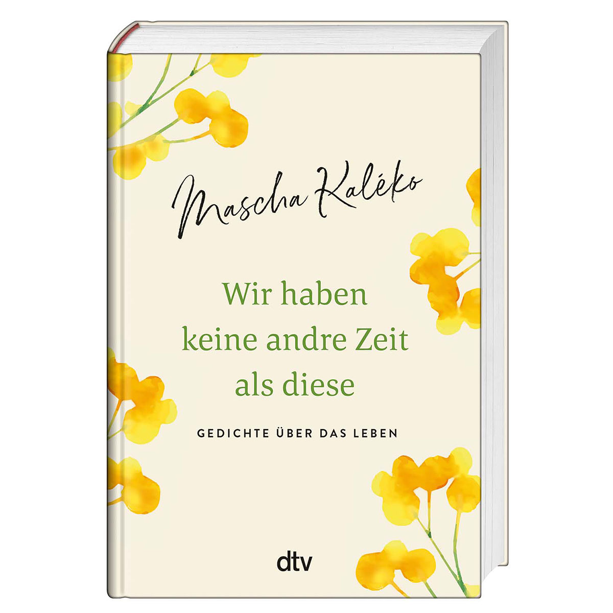 Wir haben keine andre Zeit als diese von dtv Verlagsgesellschaft