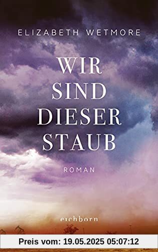 Wir sind dieser Staub: Roman