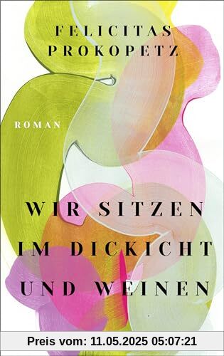 Wir sitzen im Dickicht und weinen: Roman