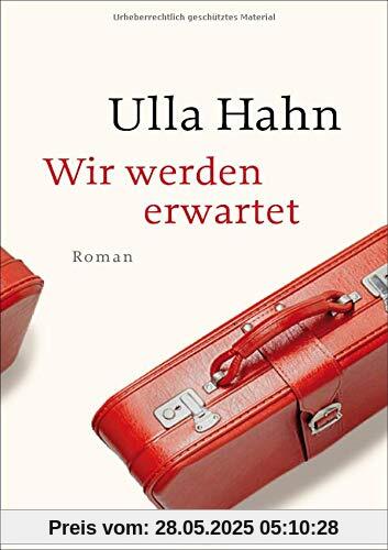 Wir werden erwartet: Roman (Die Geschichte der Hilla Palm, Band 4)