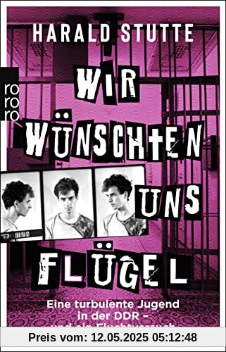 Wir wünschten uns Flügel: Eine turbulente Jugend in der DDR - und ein Fluchtversuch