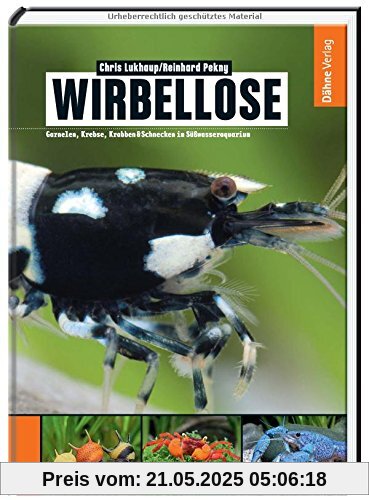 Wirbellose - Garnelen, Krebse, Krabben & Schnecken im Süßwasseraquarium Wirbellose - Garnelen, Krebse, Krabben & Schnecken im Süßwasseraquarium